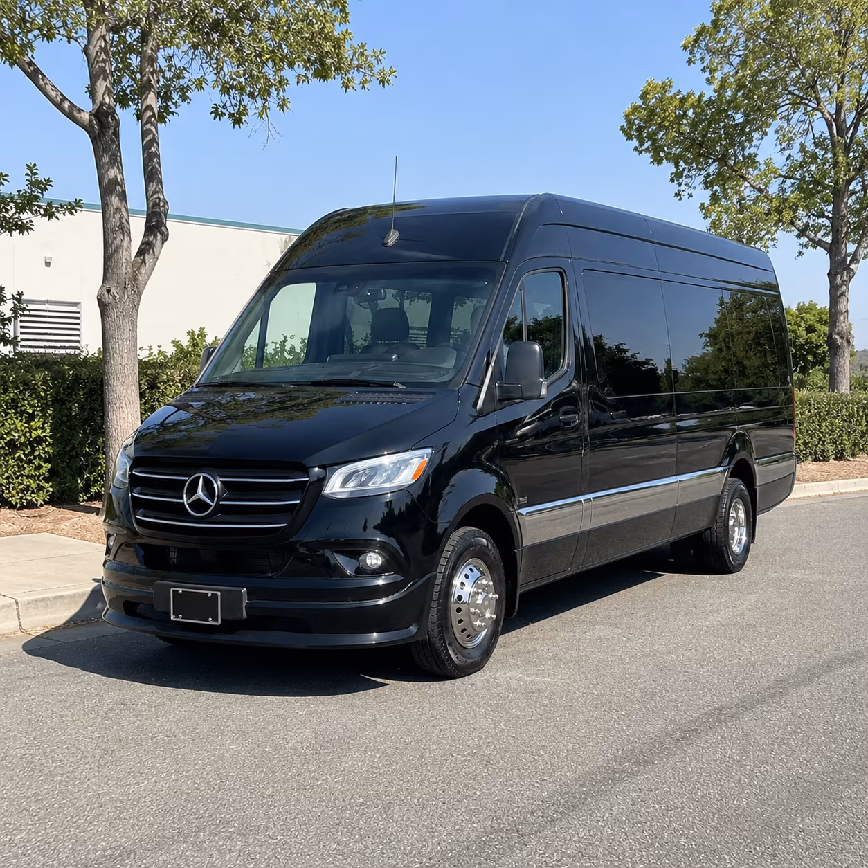 overland park sprinter van with driver